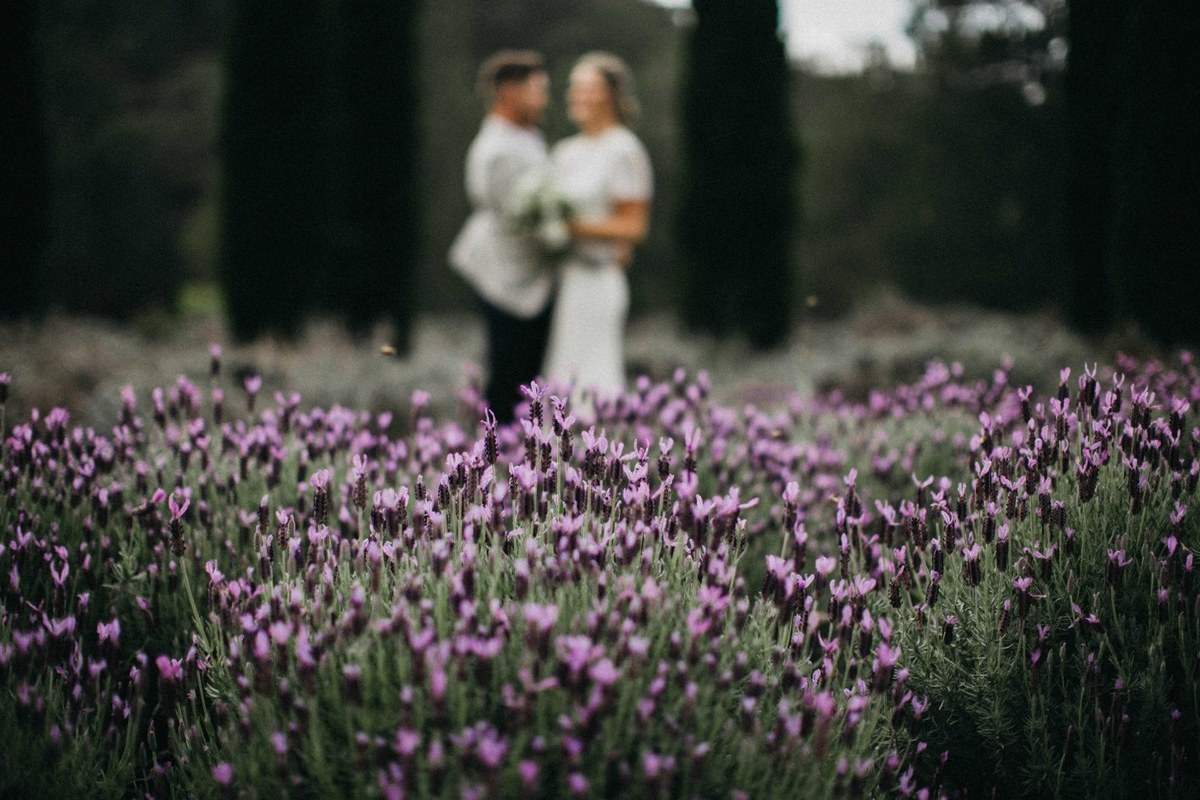 Newlyweds in the Redleaf Wollombi gardens — Joshua Mikhaiel, documentary wedding photographer The bride and groom stand together among purple flowers in the garden. Photograph by documentary wedding photographer Joshua Mikhaiel.