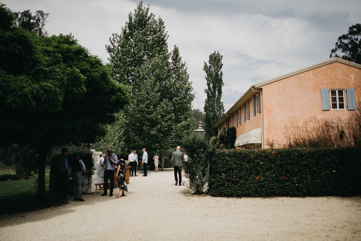 Guests arriving at Redleaf Wollombi — Joshua Mikhaiel, documentary wedding photographer Guests walk along the tree-lined path toward the homestead. Photograph by documentary wedding photographer Joshua Mikhaiel.