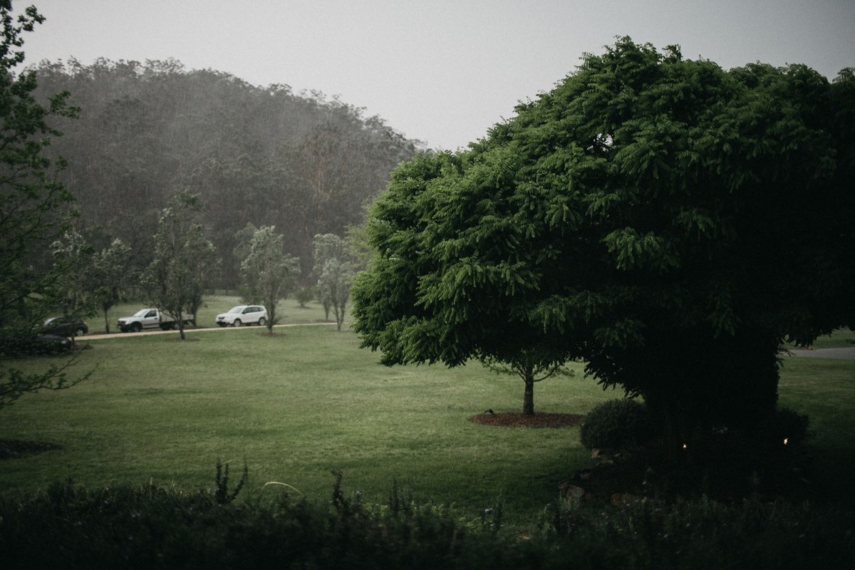 Redleaf Wollombi gardens in the rain — Joshua Mikhaiel, documentary wedding photographer A wide view of the misty lawn and trees after rain. Photograph by documentary wedding photographer Joshua Mikhaiel.