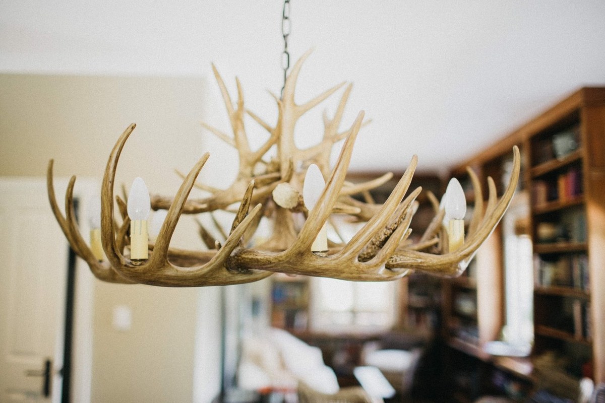 Redleaf Wollombi interior detail — Joshua Mikhaiel, documentary wedding photographer An antler chandelier hangs above the cottage sitting room. Photograph by documentary wedding photographer Joshua Mikhaiel.