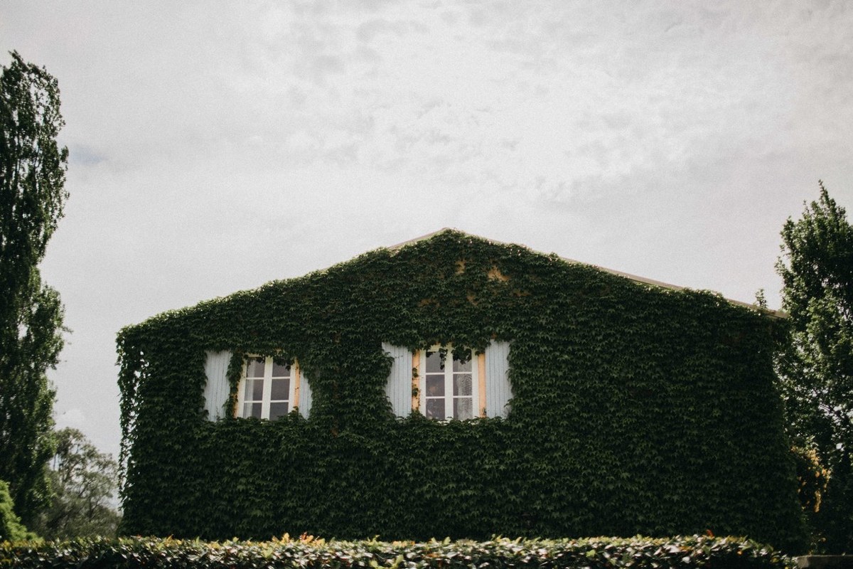 Redleaf Wollombi exterior — Joshua Mikhaiel, documentary wedding photographer An ivy-covered homestead wall rises above the garden. Photograph by documentary wedding photographer Joshua Mikhaiel.